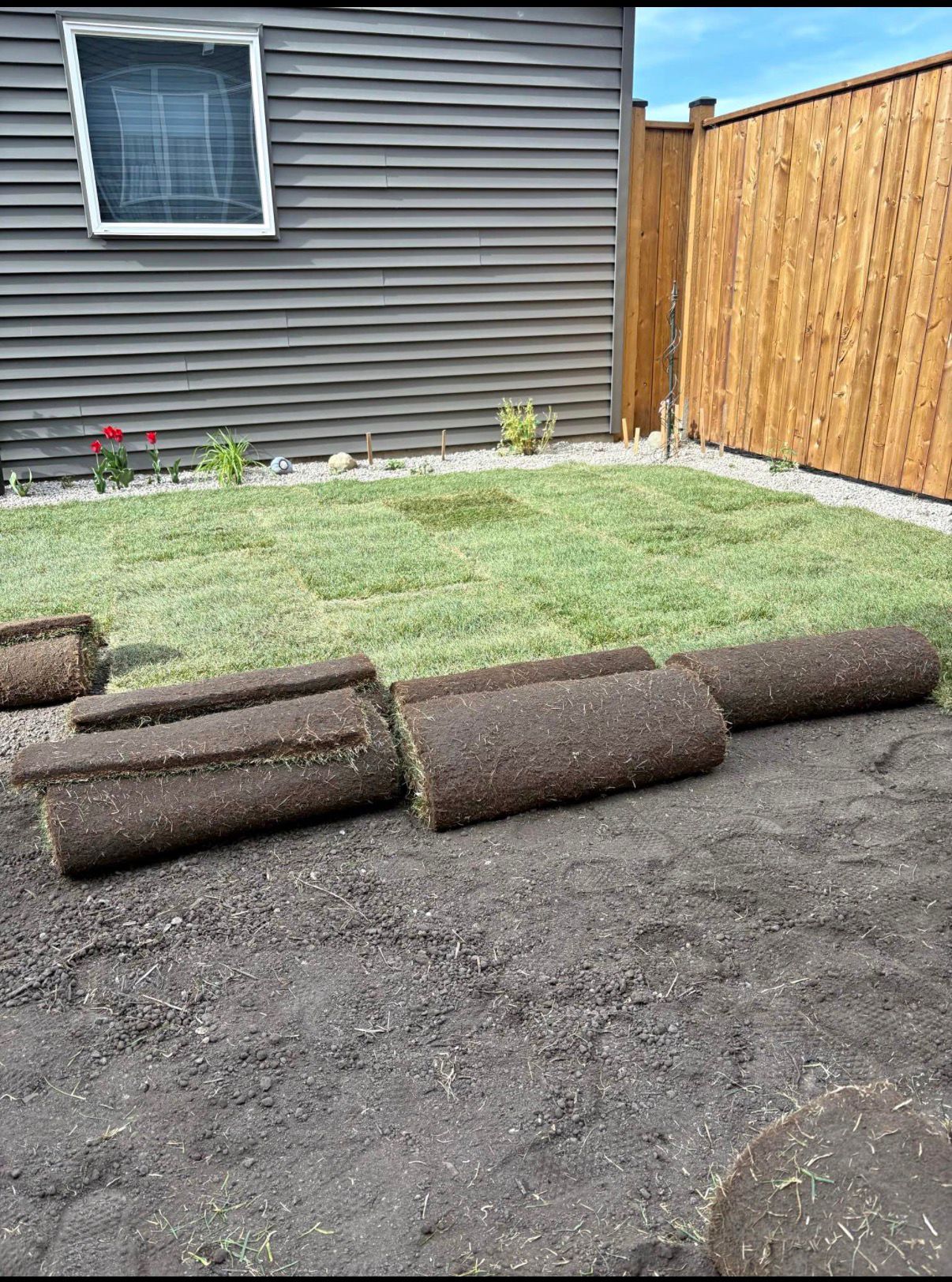 Sod rolls set out on graded soil beside a freshly laid backyard lawn
