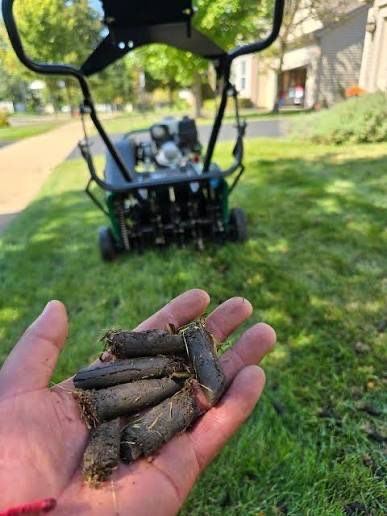 Soil cores pulled from a lawn during core aeration