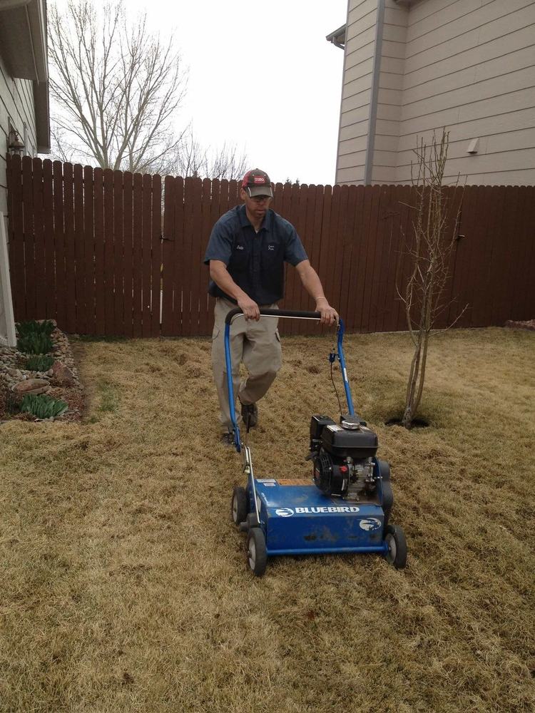 Power raking a dormant lawn to pull out built-up thatch