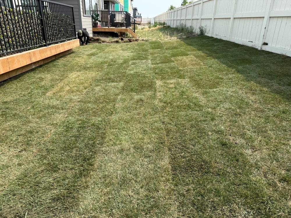 Completed sod installation running the full length of a side yard